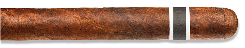 CroMagnon Cranium