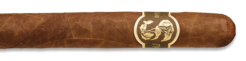 Matilde Renacer Robusto