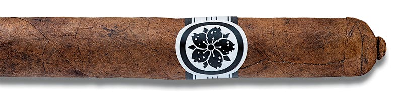 Room101 Master Collection Three Mutante