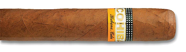 Cohiba Robusto