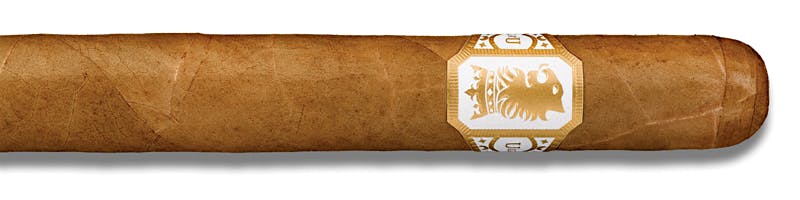 Undercrown Shade Corona Doble