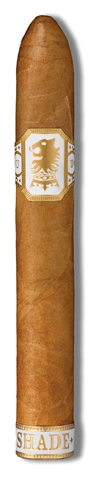 UNDERCROWN SHADE BELICOSO