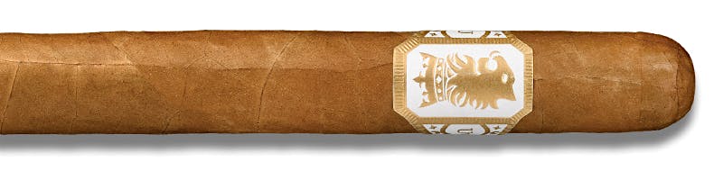 Undercrown Shade Corona