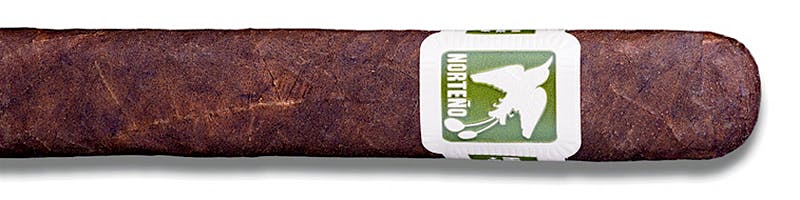 Norteño Corona Extra