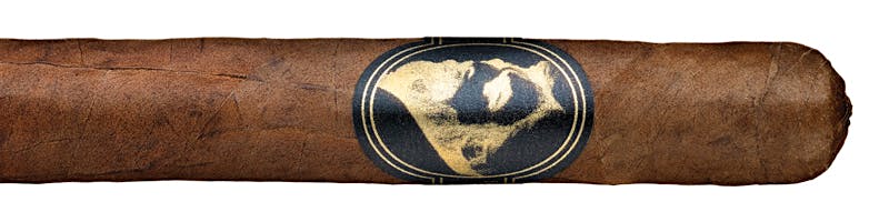 Midnight Express Corona