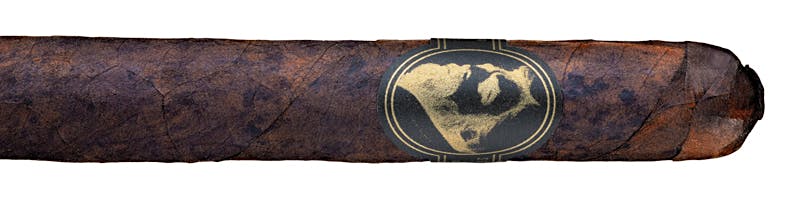 Midnight Express Toro