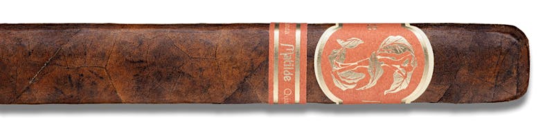 Matilde Quadrata Robusto