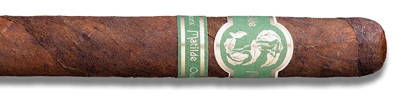 Matilde Oscura Corona
