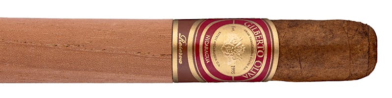 Gilberto Oliva Reserva 5.75x43