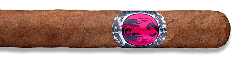 Archetype Initiation Toro