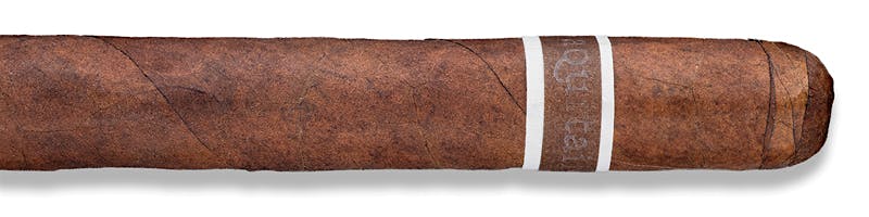 CroMagnon Aquitaine Anthropology