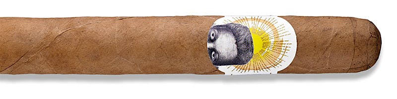 Archetype Dreamstate Churchill