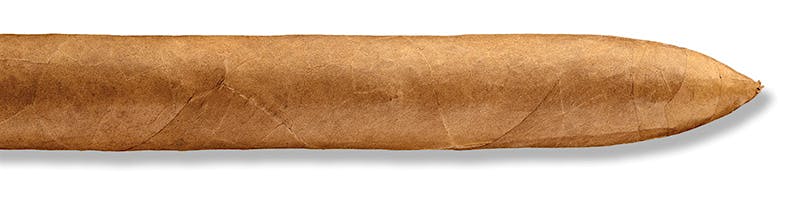 The Edge Connecticut Torpedo
