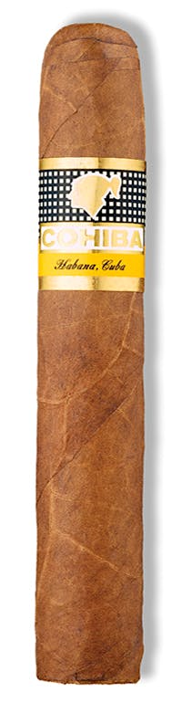 Cohiba Robusto