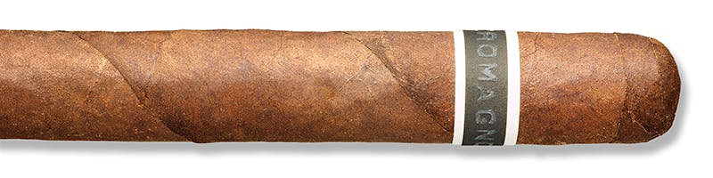 CroMagnon Cranium