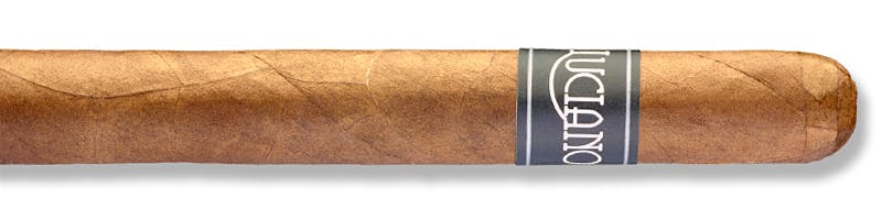 Luciano The Dreamer Toro de Lux