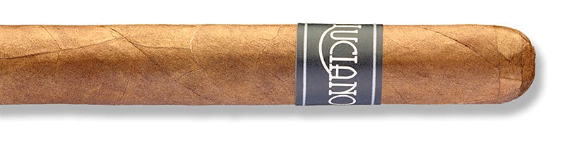 Luciano The Dreamer Toro de Lux