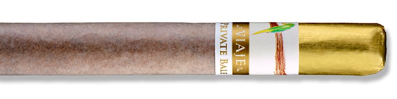 Viaje Private Bale Bird on a Branch Pajaro