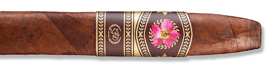 La Flor Dominicana 30 Years Chisel