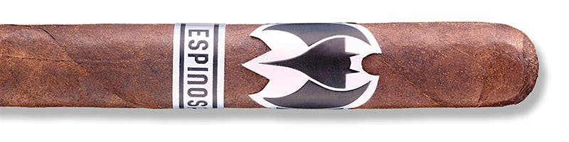 Murciélago Churchill