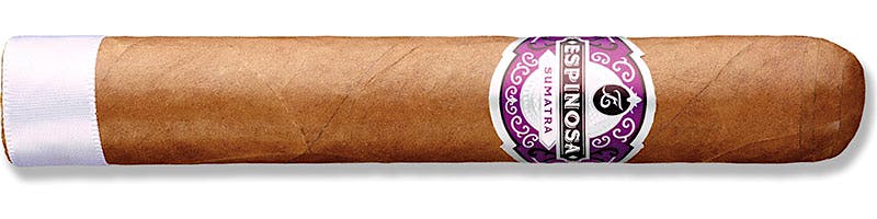 Espinosa Sumatra Gordo