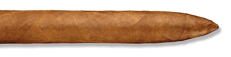 The Edge Corojo Torpedo