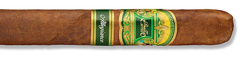 Casa Carrillo Allegiance Wingman