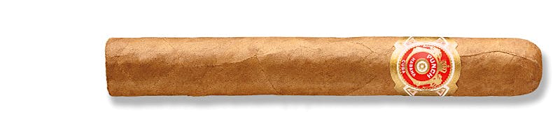 Punch Petit Coronation (Tubo)