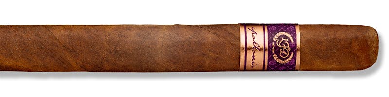La Flor Dominicana Appollonia TAA 2025