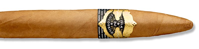 Isla del Cocodrilo Blanco Perfecto