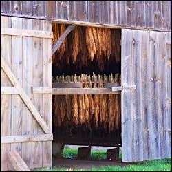 tobacco is good Buy Good Stuff Tobacco 16-oz Red Online tobacco is good Buy Good Stuff Tobacco 16-oz Red Online