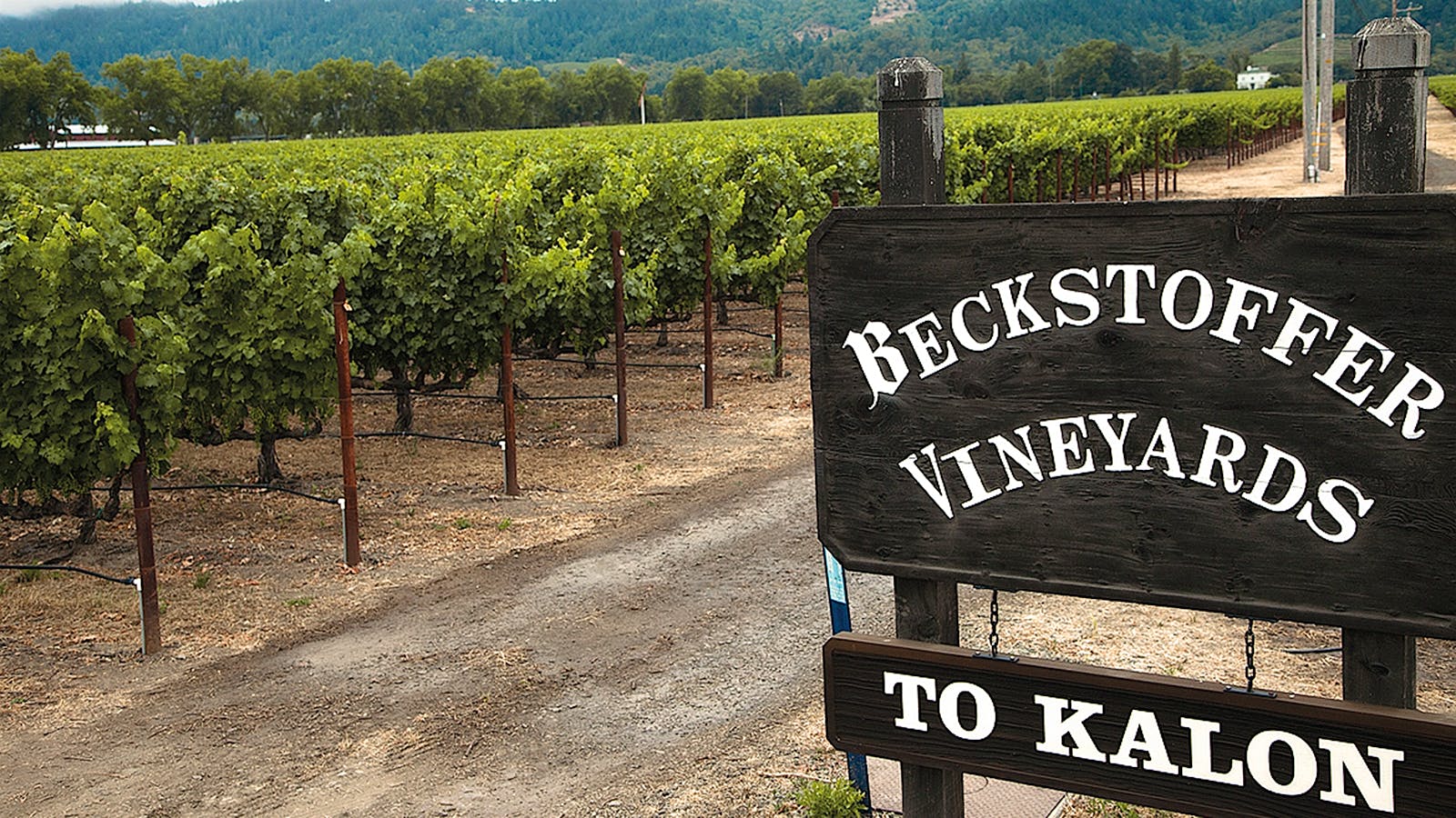 The 2012 Napa Cabernets Are Spectacular and Plentiful