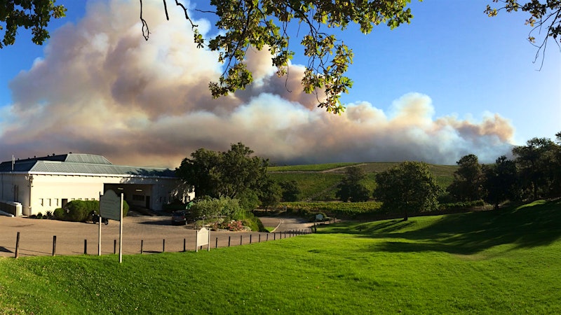 Wildfires Threaten Prime South African Vineyards