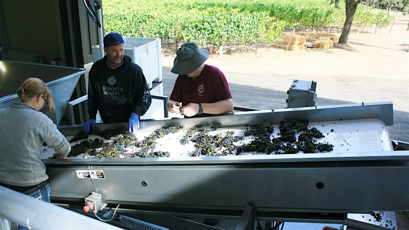 Wine Harvest 2015: Sonoma Vintners Are Optimistic After an Early Harvest