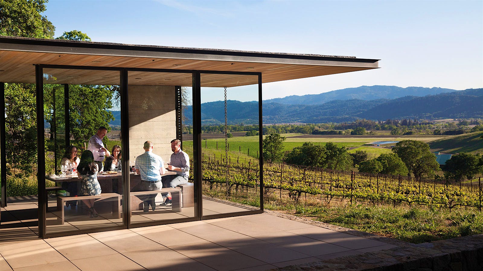 Napa Valley: Choose Your Own Adventure