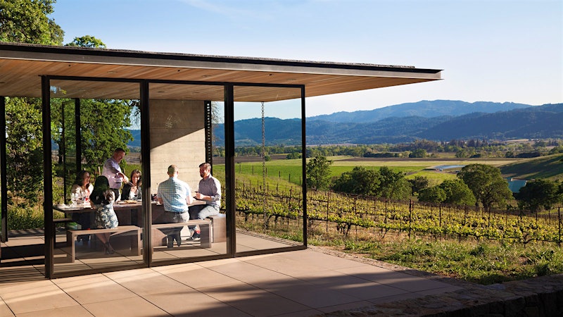 Napa Valley: Choose Your Own Adventure