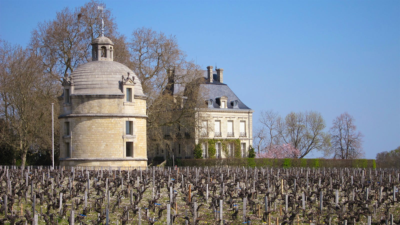 2000 Bordeaux Retrospective: Hindsight for a Hyped Vintage