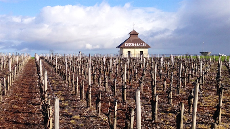 The 2015 Bordeaux Barrels Diary: A Smooth Operation at Lynch Bages