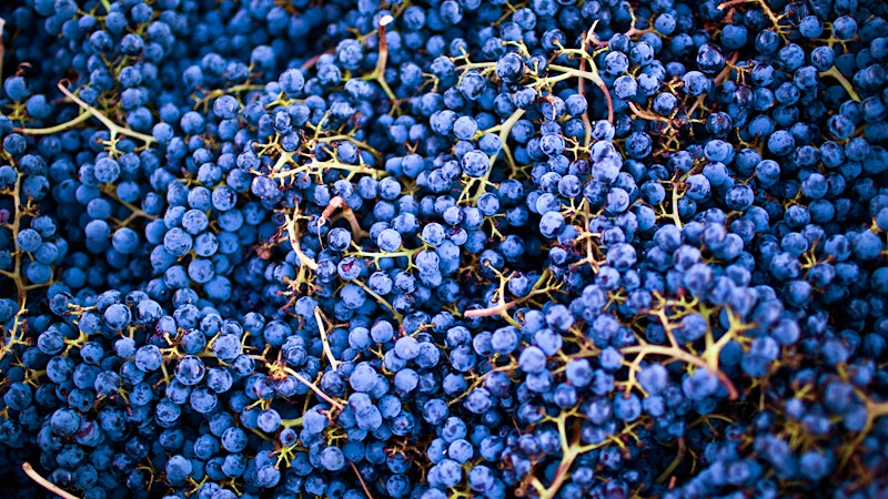 The Grapes of Bordeaux