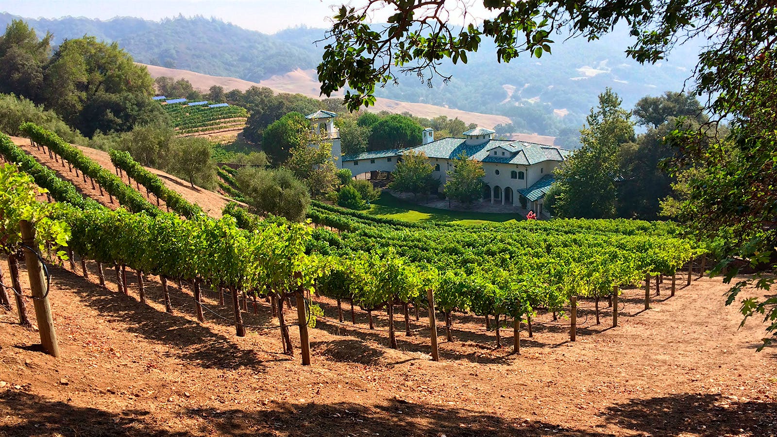Pontet-Canet Owners Buy Robin Williams' Napa Wine Estate