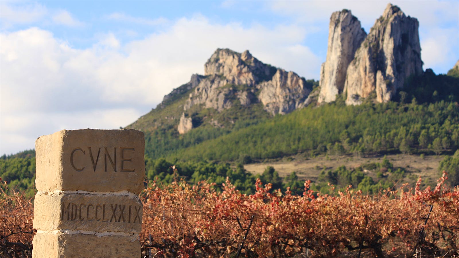 12 Diverse Spanish Wines for Under 20