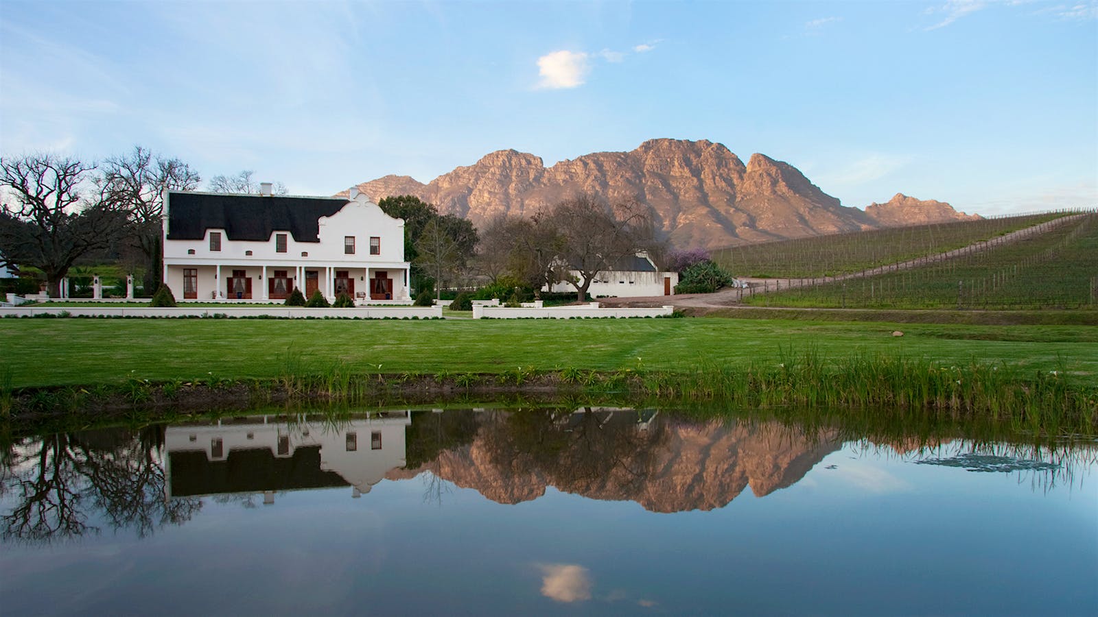 20 Value Wines from South Africa