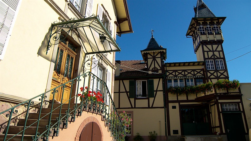 28 Versatile Alsace Whites
