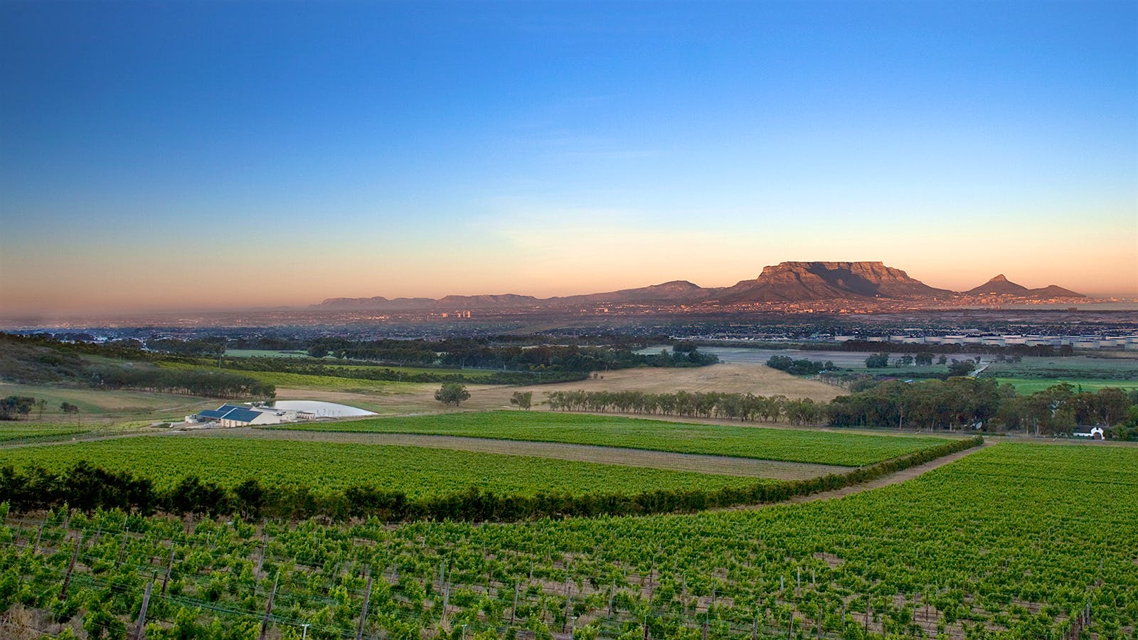 South Africa Gains New Appellation with a Familiar Name: Cape Town