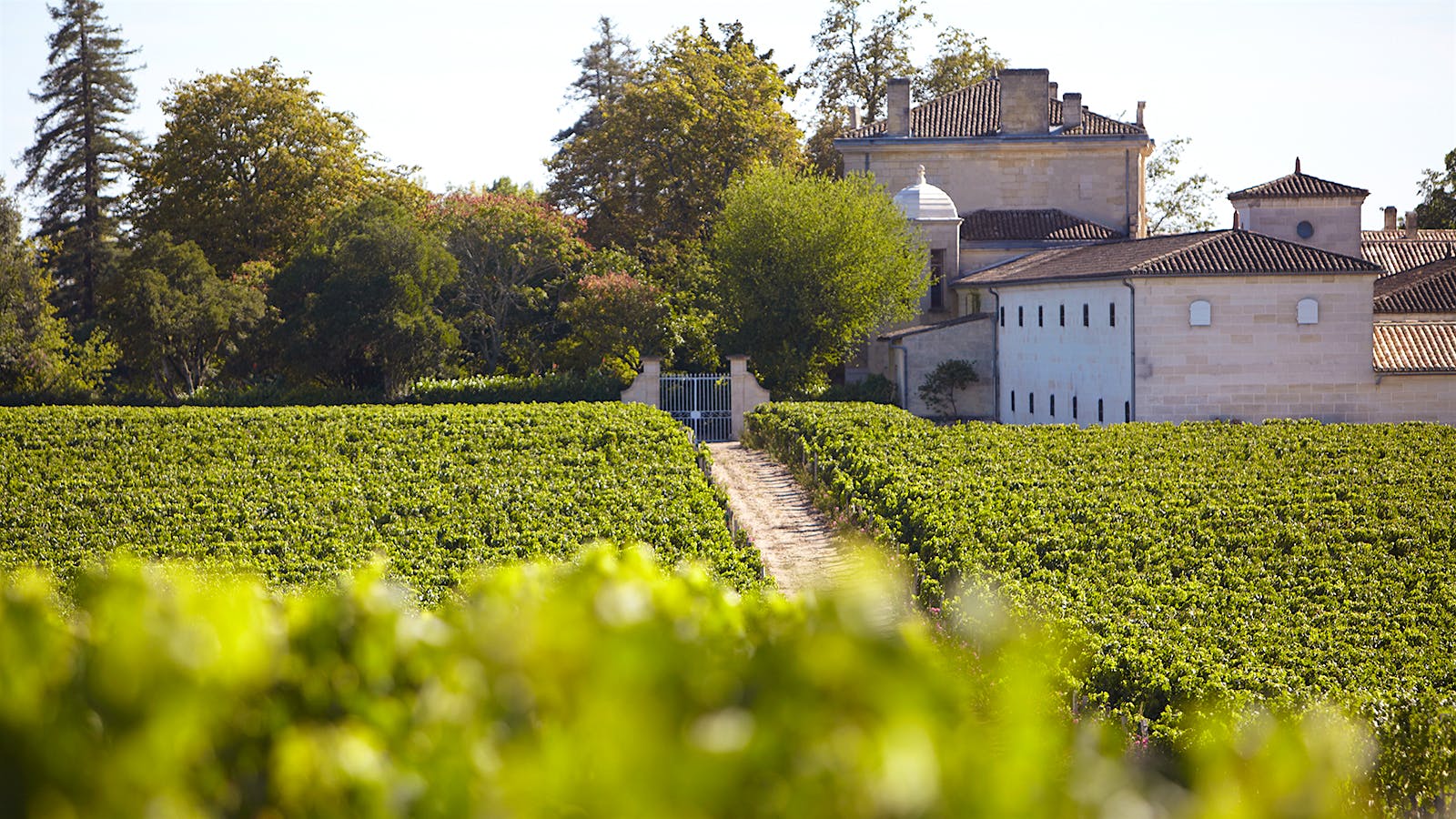 2016 Bordeaux Wine Futures Prices And Analysis Wine Spectator