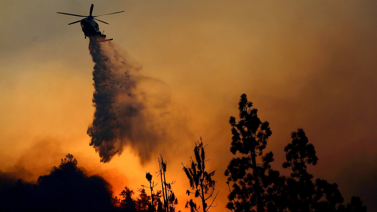 Updated: Winemakers Worry as Wildfires Rage in Southern California