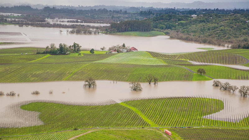 Northern California Emerges from Drought, but Winegrowers Remain Cautious
