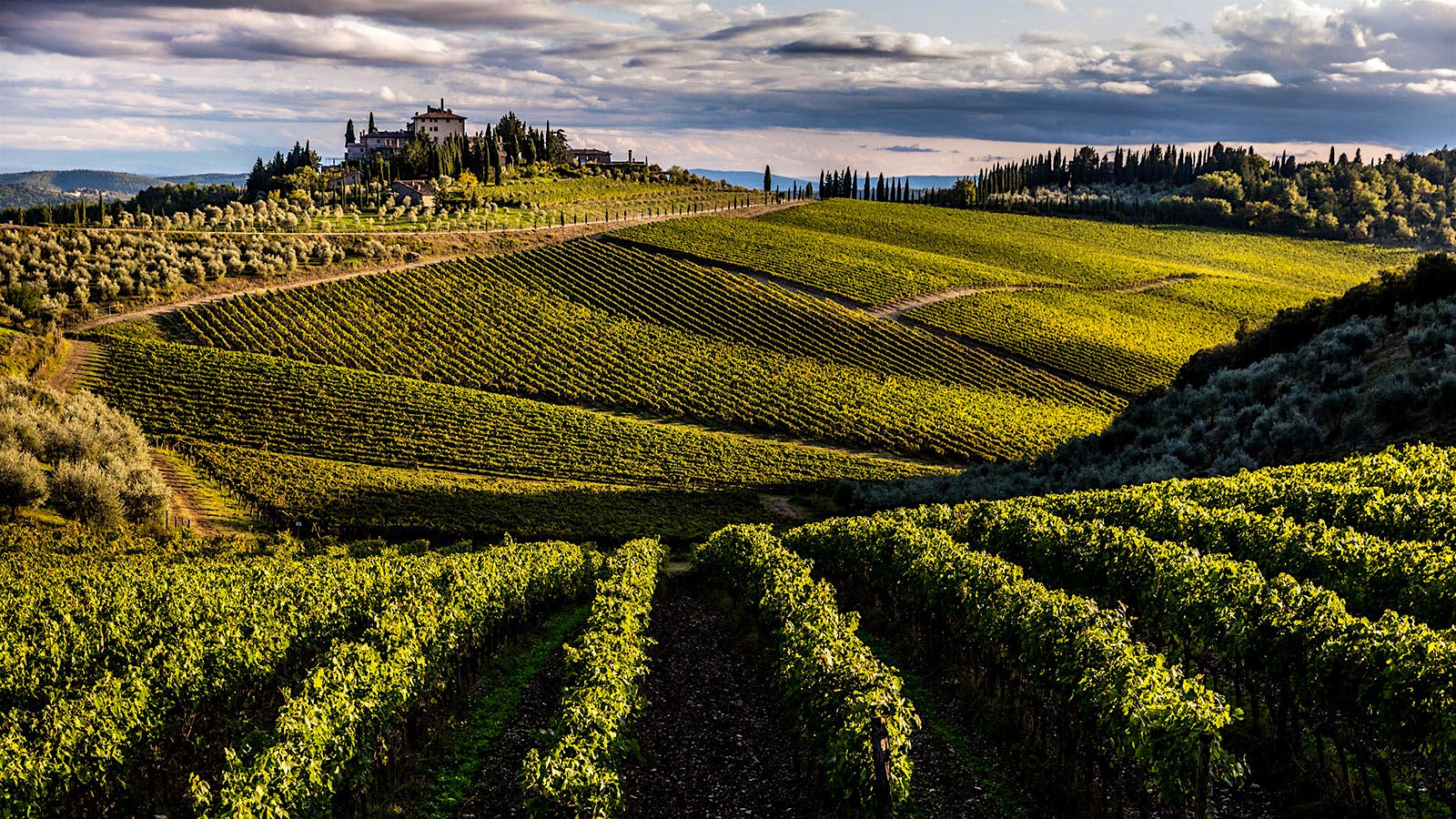 Exclusive: Frescobaldi Extends Its Winery Holdings into Chianti Classico