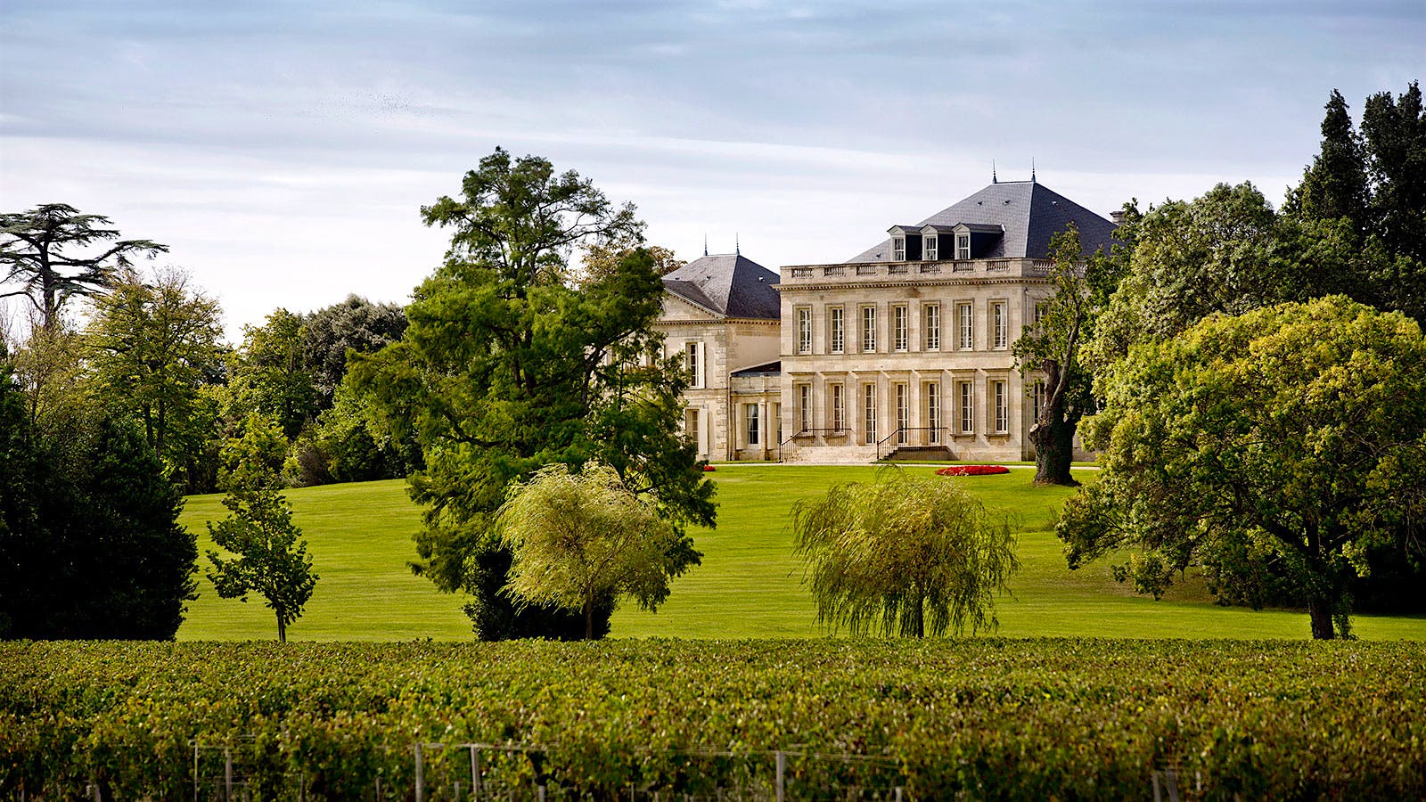 Bordeaux Rising Star Château Phélan Ségur Sold to Belgian Shipping Magnate
