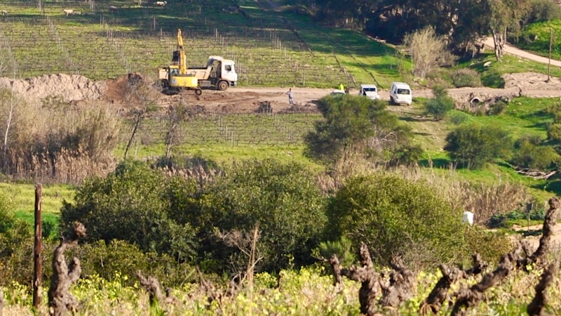 South African Vintners Angry over Mining Permits in Swartland Wine Region